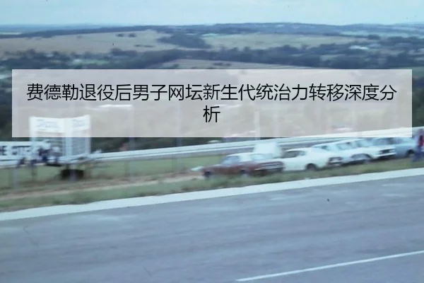 fei-de-lei-tui-yi-hou-nan-zi-wang-tan-xin-sheng-dai-tong-zhi-li-zhuan-yi-shen-du-fen-xi-2-348.jpg