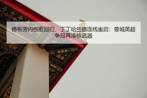 de-bu-lao-nei-shang-yu-hui-gui-ding-ding-ha-lan-de-lian-xian-chong-qi-man-cheng-ying-chao-zheng-guan-zai-tian-he-wu-qi-2-632.jpg
