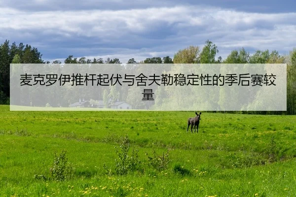 mai-ke-luo-yi-tui-gan-qi-fu-yu-she-fu-lei-wen-ding-xing-de-ji-hou-sai-jiao-liang-2-756.jpg