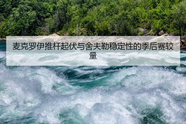 mai-ke-luo-yi-tui-gan-qi-fu-yu-she-fu-lei-wen-ding-xing-de-ji-hou-sai-jiao-liang-3-774.jpg