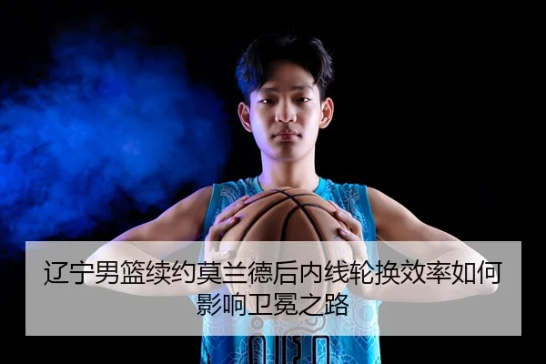 liao-ning-nan-lan-xu-yue-mo-lan-de-hou-nei-xian-lun-huan-xiao-lv-ru-he-ying-xiang-wei-mian-zhi-lu-3-937.jpg