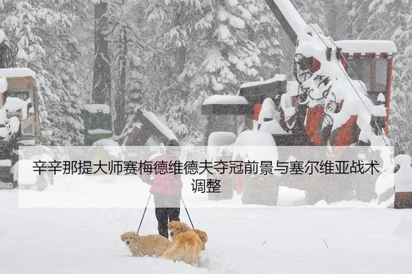 辛辛那提大师赛梅德维德夫夺冠前景与塞尔维亚战术调整
